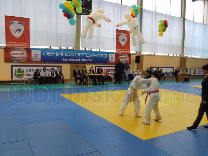 Judo2017_3.jpg